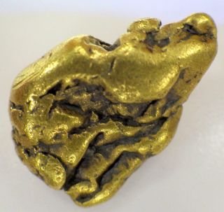 Gold Nugget Alaskan 7.  293 Grams Natural Placer Slate Creek High Purity