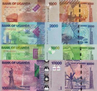 Uganda 4 Note Set: 1000 To 10000 Shillings (2017) - P49 To P52 Unc