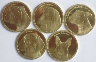 Somaliland Somaly Somali Somalia 2019 5 Coins Dogs
