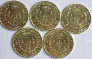 Somaliland Somaly Somali Somalia 2019 5 coins Dogs 2
