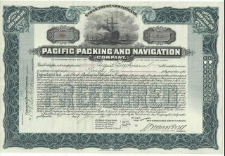 Stk - Pacific Packing & Navigation Co.  1902 308 L/than 100 Share Preferred Blue