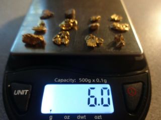 12 California Gold Nuggets 6.  0 Grams Pickers Coloma,  Ca.  - Gold 1st.  Discovered