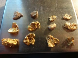 12 CALIFORNIA GOLD NUGGETS 6.  0 Grams Pickers Coloma,  Ca.  - Gold 1st.  Discovered 2