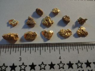 12 CALIFORNIA GOLD NUGGETS 6.  0 Grams Pickers Coloma,  Ca.  - Gold 1st.  Discovered 4