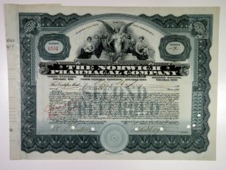 Ny.  Norwich Pharmacal Co.  1919 7 Shrs Preferred Stock I/c Certificate,  Xf - Blue