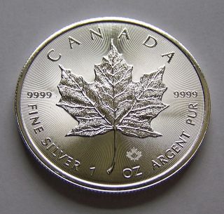 2019 1 Oz Canadian Silver Maple Leaf 5 Dollar Coin 1