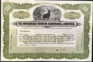 St.  Maurice Paper Company,  Limited Stock Specimen 1912 Canada Paper And Pulp Unc