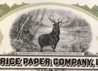 ST.  MAURICE PAPER COMPANY,  LIMITED Stock SPECIMEN 1912 Canada Paper and Pulp UNC 2