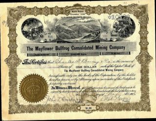 Mayflower Bullfrog Consolidated Mining Co,  Rhyolite,  Nevada,  1906,  Uncancelled S