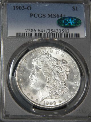 1903 - O Morgan Dollar Pcgs Ms64,  Cac Blast White Luster,  Pq 76l