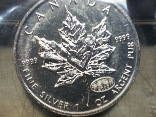 2000 Canada 5 Dollar Silver Coin Maple Leaf W/ Fireworks Privy