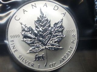 1998 Canada 5 Dollar Silver Coin Maple Leaf,  Tiger Privy