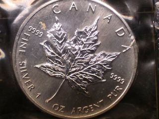 1991 Canada 5 Dollar Silver Coin Maple Leaf