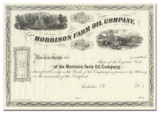 Morrison Farm Oil Company Stock Certificate (1860 