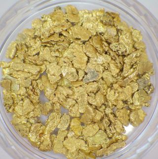 Gold Nuggets 5,  Grams Alaska Natural Placer 14 Mesh Jewelers Grade Hi Purity