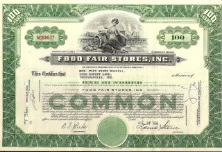 Stock Certificate Food Fair Stores,  Inc.  1964 100 Shares