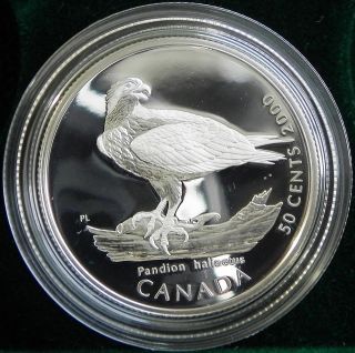 Canada 2000 50 Cents Osprey Sterling Silver Birds Of Prey - From