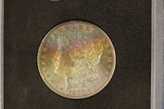 Toned 1883 CC Morgan Dollar GSA Hoard NGC MS64 CARSON CITY Silver $1 3