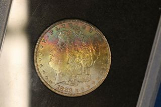 Toned 1883 CC Morgan Dollar GSA Hoard NGC MS64 CARSON CITY Silver $1 5