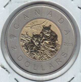 2013 Canada Specimen Special Edition $2 Coin - Young Wildlife - Black Bear