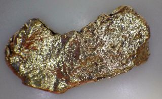 Gold Nugget Alaskan 7.  688 Grams Natural Placer Hope Creek High Purity
