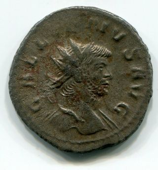 Roman Empire - Gallienus 253 - 268 AD - Antoninianus - Indulgentia Reverse EX CNG 2