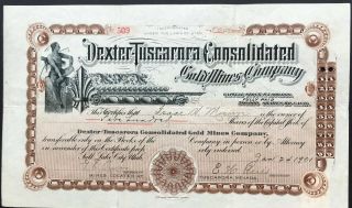 Dexter - Tuscarora Consolidated Gold Mines Co Stock 1901 Tuscarora,  Nevada Elko Co