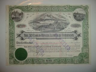 Mccloud River Lumber Company Stock Certificate Minnesota