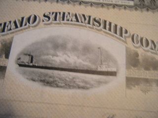 Buffalo Steamship Company Unissued 1910s Crisp Crisp Certificate