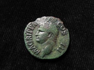 Agrippa Copper As,  Struck At Rome In 37 - 41 A.  D.  In Honour Of.