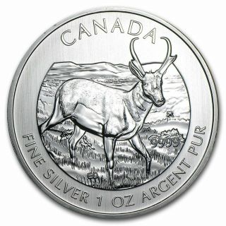 2013 Canada Rcm 1 Oz.  Silver Maple Leaf Wildlife Series Pronghorn Antelope