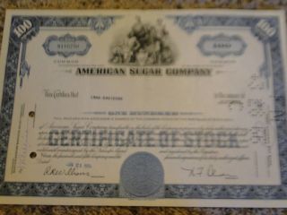 American Sugar Company Stock Certificate - 100 Shares