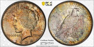 1934 - D Peace Dollar $1 Pcgs Ms64,  Cac - Colorful Rainbow Toning