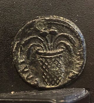 Hadrian 117/38ad Elaea Aeolis Ancient Roman Ae 16 Corn Poppy Heads Basket 2.  63g