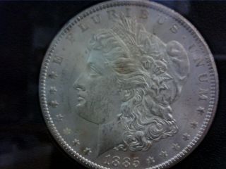 1885 Cc Gsa Hard Pack Morgan Silver Dollar Ungraded