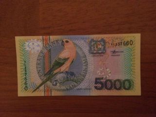 Suriname 5000 Gulden 2000 P - 152 Unc