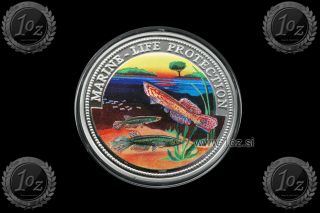 Somalia 10 Dollars 1999 (marine Life Protection) Color Commemorative Coin Unc