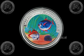 Ghana 10 Sika 1997 (marine Life Protection) Color Commemorative Coin Unc