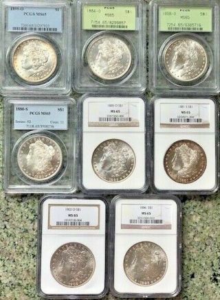Pcgs & Ngc Silver Ms 65 Morgan Dollars 8 Coins