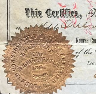 NOURSE CONSOLIDATED MINING & SMELTING CO Stock 1881.  Chaffee County,  Colorado 3