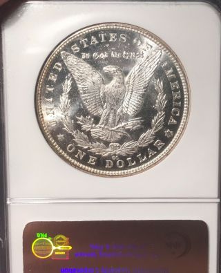 1883 - CC NGC MS65 PL PQ Morgan Silver Dollar 4
