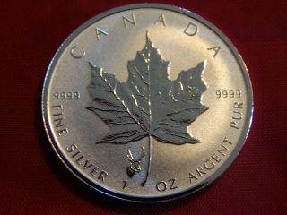 2018 1 Oz.  $5 Canada Maple Leaf W/ Antelope Privy Gem Bu Silver