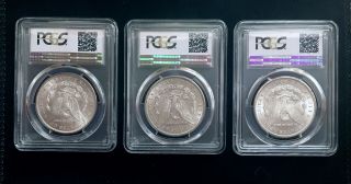 1883 - CC MS - 64 / 1884 - CC MS - 62 / 1884 - S AU - 53 Morgan Silver Dollar Set PCGS 1 Day 2