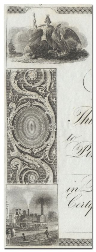 Pine Plains Bank Stock Certificate - 1800 ' s Beauty 3