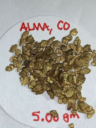 NATURAL GOLD NUGGETS FROM MINE IN COLORADO FIVE GRAMS SPECIAL 2