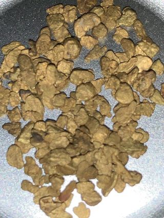 NATURAL GOLD NUGGETS FROM MINE IN COLORADO FIVE GRAMS SPECIAL 3