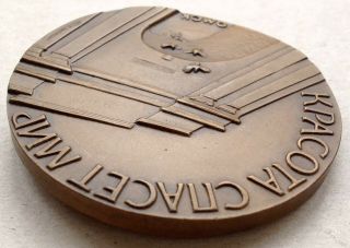 Medal F.  M.  Dostoevsky.  170 years since the birth of the great writer and thinker 6