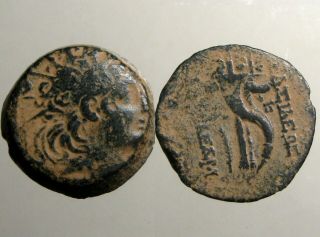 Alexander Ii Zabinas Bronze Ae21_seleukid Empire_double Cornucopia