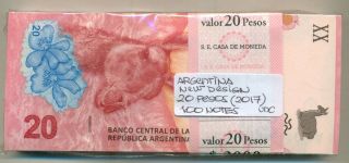 Argentina Bundle 100 Design Notes 20 Pesos (2017) Unc