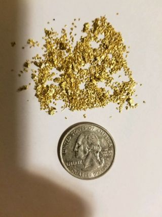 Natural Gold Placer Nuggets 5 Grams 22k
